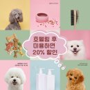 럭셔리애견샵