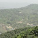 동 막 이미지