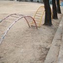 고한초등학교 이미지