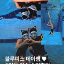 블루웨이프리다이브 | 블루피스 데이쌤♥︎ 2일차,, 드디어 10m 입수 성공! | 인생사진 도전 후기