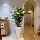 담은 스테이 이미지