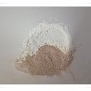 영천참붕어 이미지