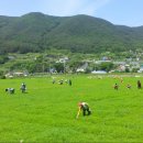 청마정비 이미지