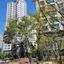 엘지슈퍼렛 이미지