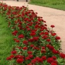 T1공연장 이미지