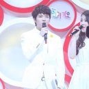 허니트리