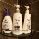 파비아관광호텔 이미지