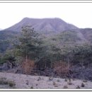 불재농장 | [낙동정맥 11구간]한무당재-관산-아화고개-사룡산-숲재-땅고개