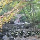 동백장어 이미지
