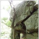 대항새바지 이미지