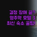 크리스탈모텔 | 장애 해결 | 영주역 홈플러스 인근 모텔 3곳 비교 분석 | 크리스탈 부띠끄오늘 영주드라마 장단점 정리...