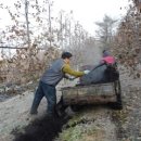 파파농장 이미지