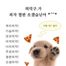 정신