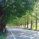 팔덕면사무소 이미지