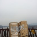 버드나루로 이미지