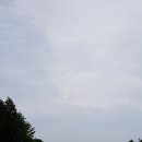 스프링데이