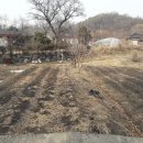 배추당구장 이미지