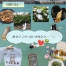 다이소제주하귀점 | 제주도 동쪽 여행 코스 2박 3일 가볼 만한 곳 총정리 (A-Z까지 나만 따라와)