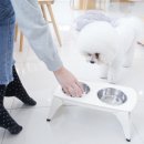 펫플래닛 이미지