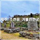 하늘마을어린이공원 (옥외1) | 제주 조천읍 가볼만한곳 제주 돌문화 공원 제주 여행코스로 추천
