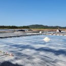 신안갯벌박물관 이미지