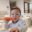 도담메디칼 | 도담도담 장난감 추천 | 13개월 아기 대여 후기 (뽀로로 말하는 전화기, 알파벳공룡)