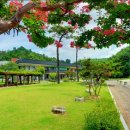 안동시립박물관 이미지