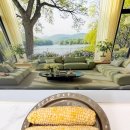 대학찰옥수수 | [리뷰]역대급 달콤함 아지매 초당옥수수, 괴산 황금대학찰옥수수