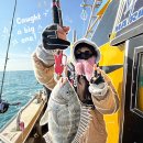 서망항2 | [전남 진도] 겨울 방어낚시 후기, 빅마린호 대방어 출조 (feat. 감성돔 잡은 썰)