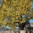 활성동 밀양시국궁장 이미지