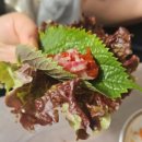 소답동136 이미지