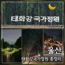 씨유 울산삼호철새공원점 | 울산 태화강국가정원 : 십리대숲 은하수길 가는 방법 볼거리 짐보관 꿀팁
