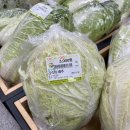 [일산] 김장 배추 시세 저렴한 가격 농협 로컬푸드