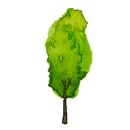 코오롱.동신 이미지