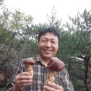 효은농장 이미지