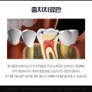세실치과의원 이미지