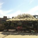 목련주유소 이미지