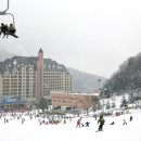 양지파인리조트 이미지