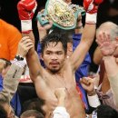 수원M복싱 이미지