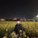 대저생태공원 입구 맞은편(대저1동 2314-1) | 부산 유채꽃 명소 | 대저생태공원 위치, 주차꿀팁 총정리