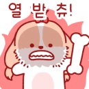 스누독 이미지