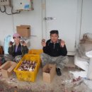 구광식당 이미지