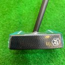 홍성골프연습장 | 홍성 골프샵 버크 Ai 제로토크 퍼터 직접 구매한 생생 후기