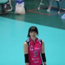 도원체육관 이미지