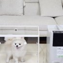 네오투메디 이미지