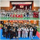 용인대석사 대하 태권도 | 하대원 no. 1 용인대석사 대하태권도