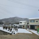 그리움 그리다 | 담양펜션- 낭만의 끝판왕, 그리움그리다 후기