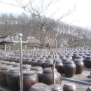 뒤웅박고을 이미지