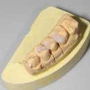 네츄럴치과기공소 이미지