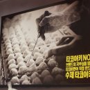 타코비(한국외대점)